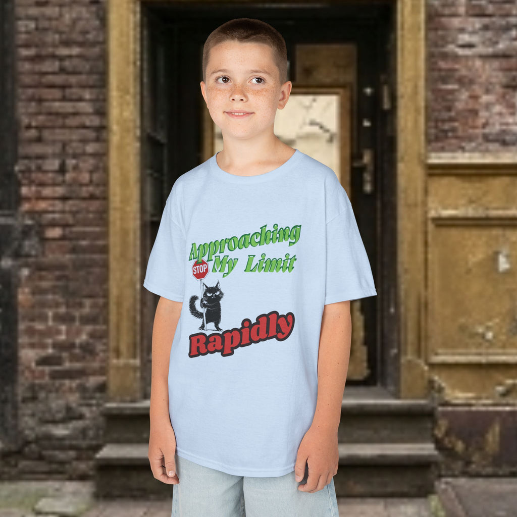 Kids T-Shirt — Approaching My Limit Stop Rapidly Cat Graphic Tee
