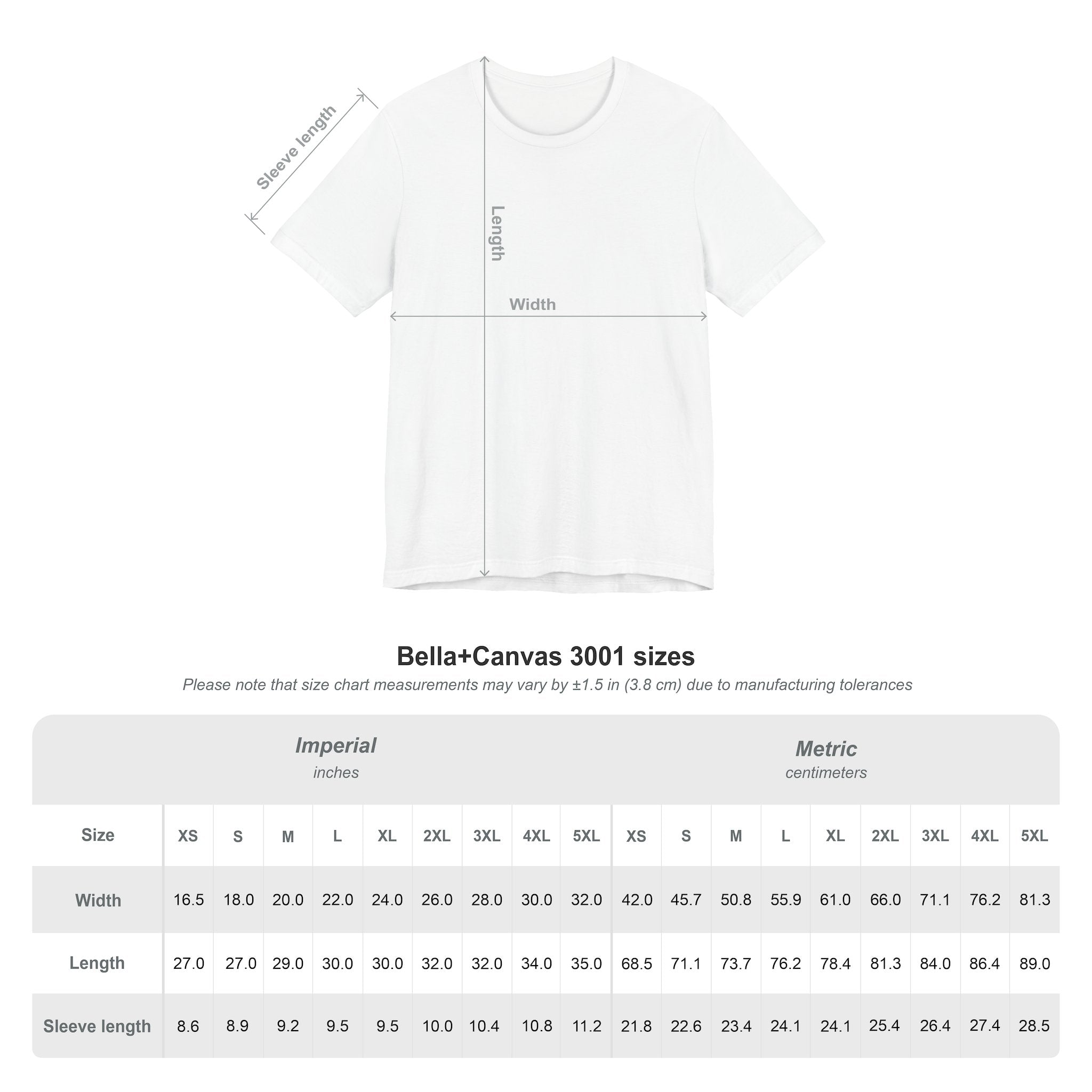 Sitting Comfortably Between Psychotic & Iconic | Funny Sarcastic Graphic T-Shirt