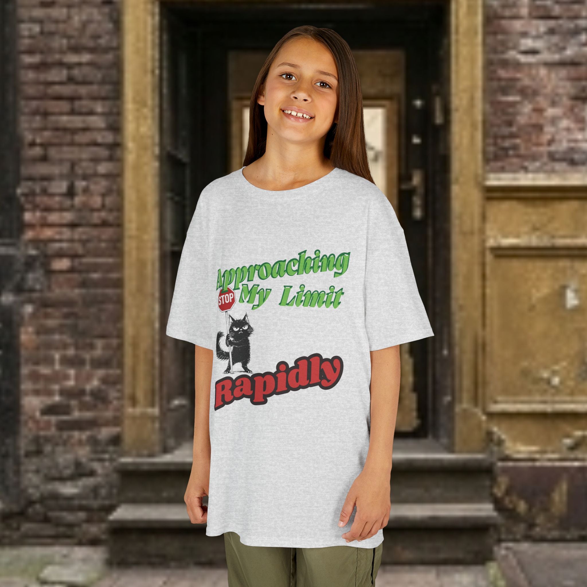 Kids T-Shirt — Approaching My Limit Stop Rapidly Cat Graphic Tee