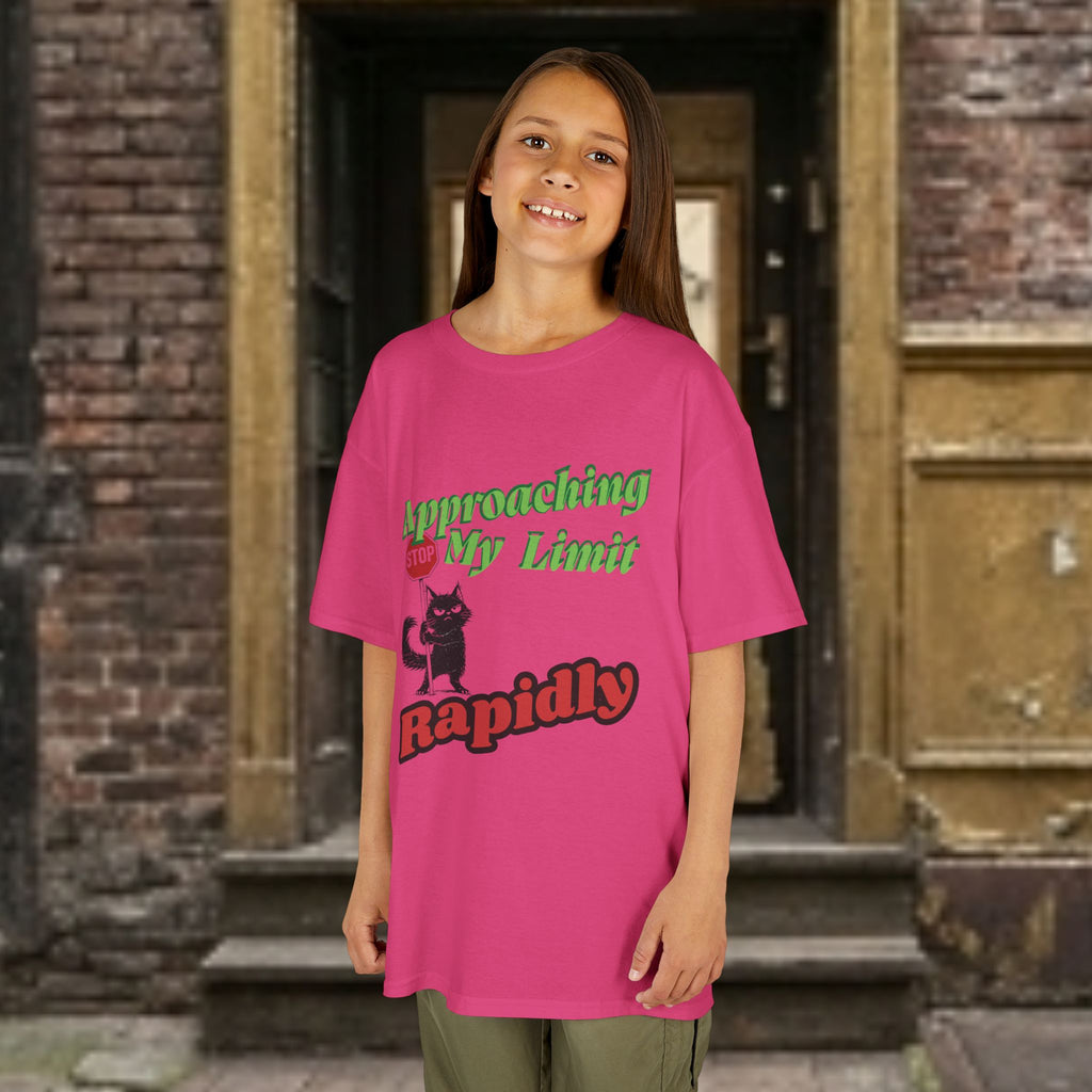 Kids T-Shirt — Approaching My Limit Stop Rapidly Cat Graphic Tee