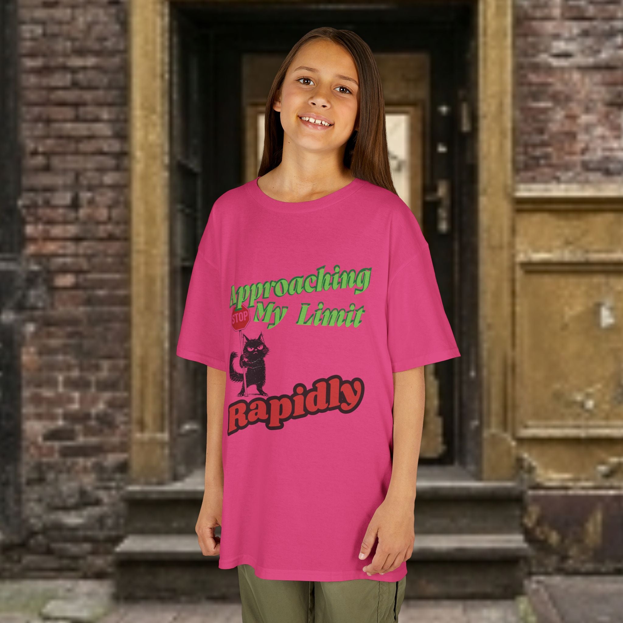 Kids T-Shirt — Approaching My Limit Stop Rapidly Cat Graphic Tee