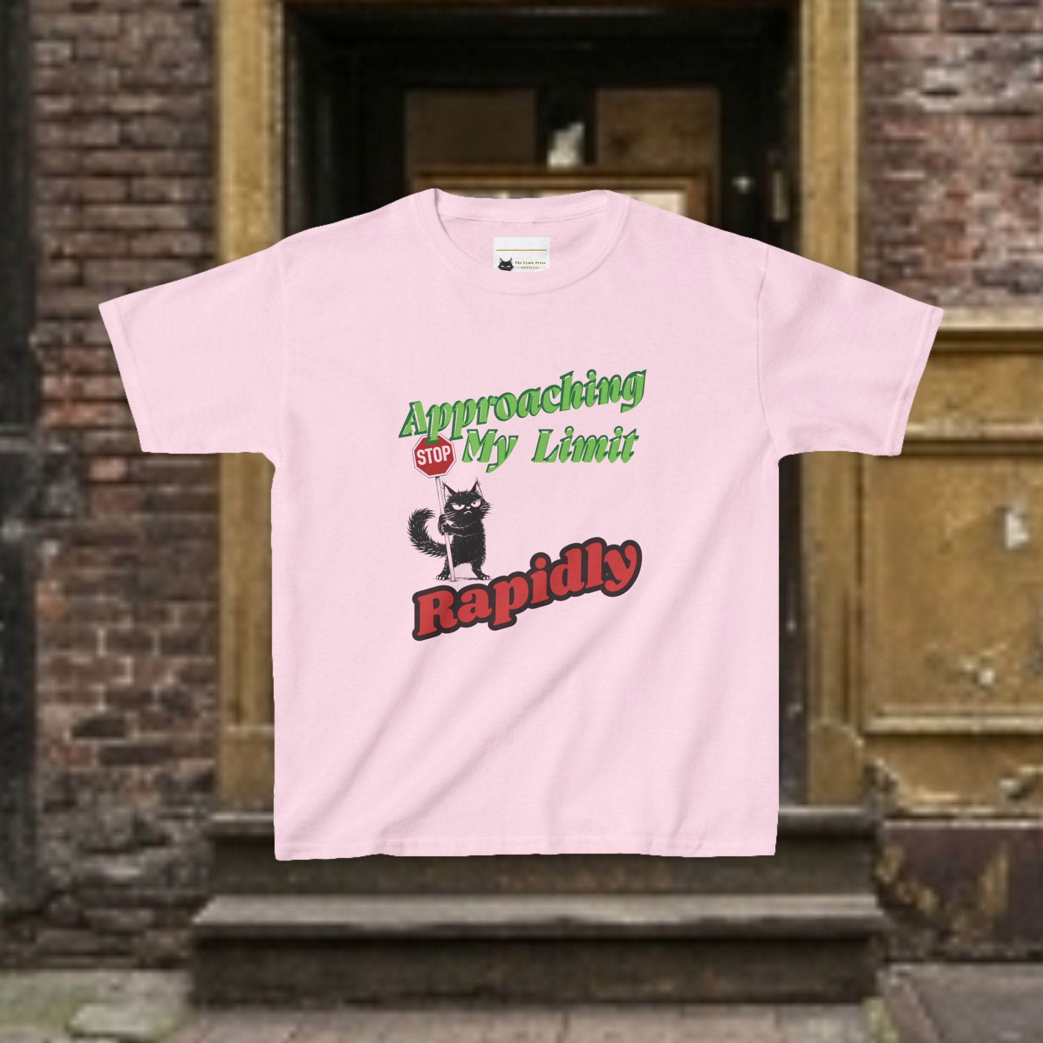 Kids T-Shirt — Approaching My Limit Stop Rapidly Cat Graphic Tee