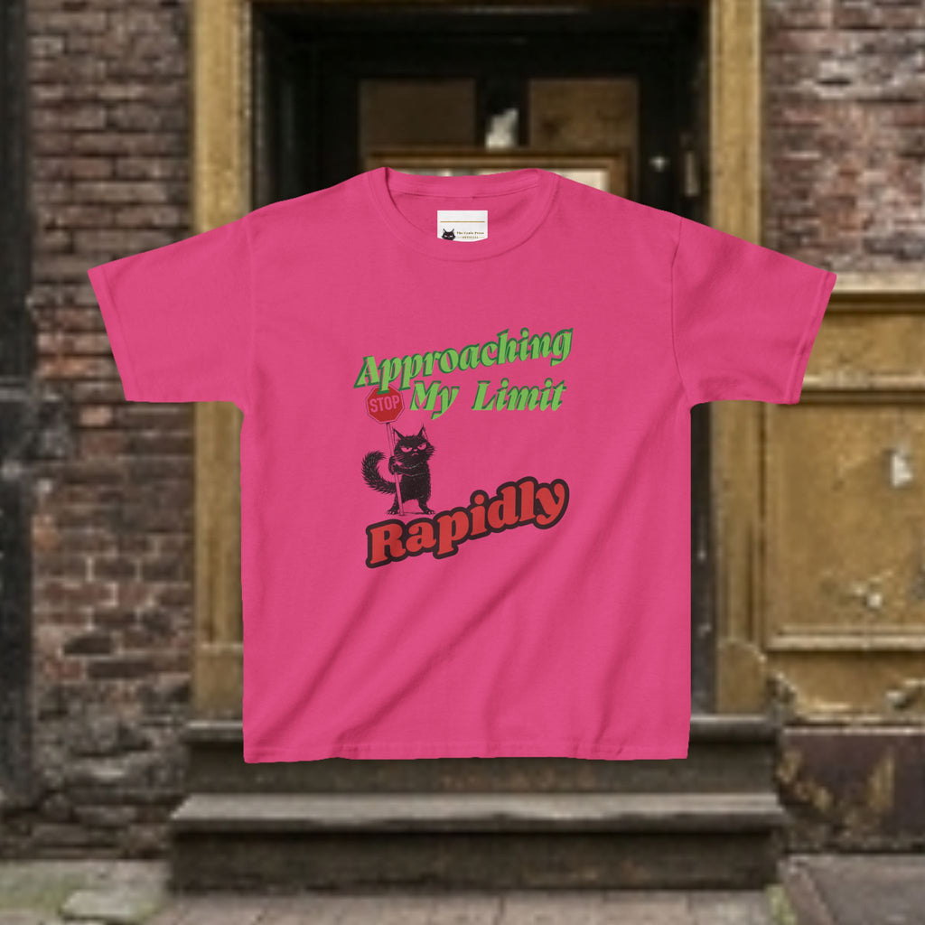 Kids T-Shirt — Approaching My Limit Stop Rapidly Cat Graphic Tee