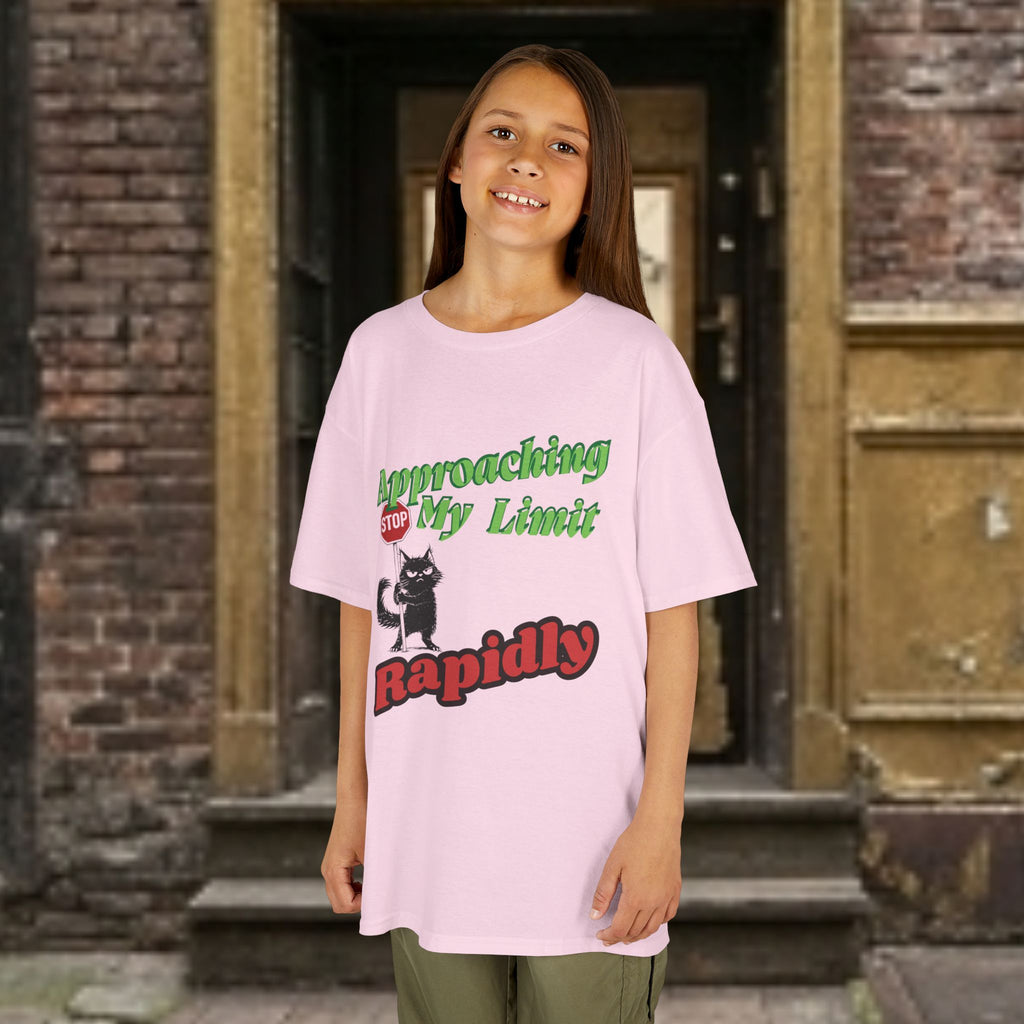Kids T-Shirt — Approaching My Limit Stop Rapidly Cat Graphic Tee