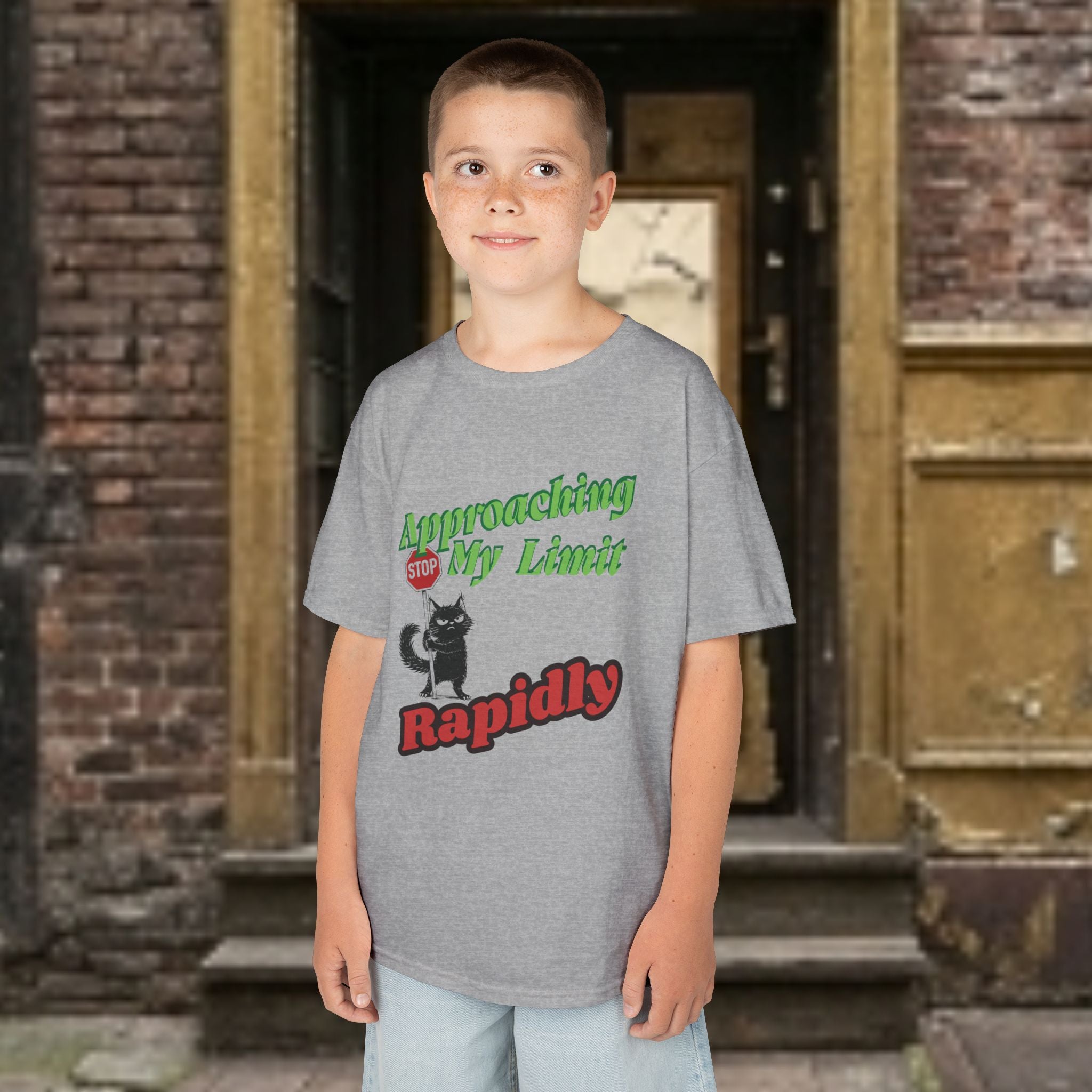 Kids T-Shirt — Approaching My Limit Stop Rapidly Cat Graphic Tee