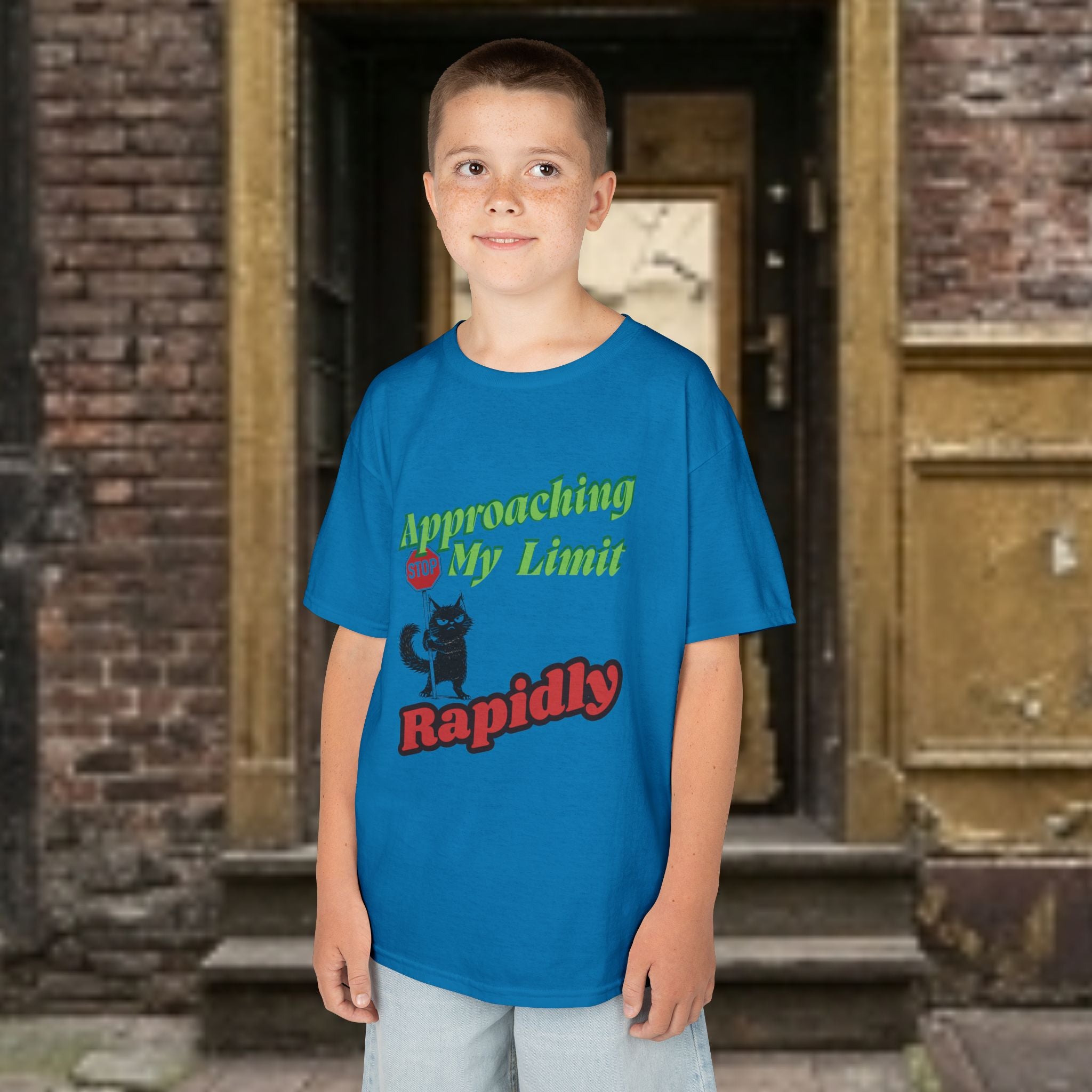 Kids T-Shirt — Approaching My Limit Stop Rapidly Cat Graphic Tee